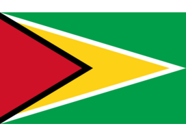 Financial informations about Guyana