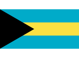 MC. DERMOTT INTERNATIONAL INVESTMENTS CO. LTD., Bahamas
