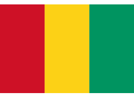 UNION INTERNATIONALE DE BANQUE EN GUINEE, Guinea