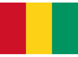 AFRICAN DEVELOPMENT BANK (GUINEA), Guinea