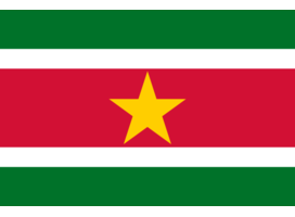 Financial informations about Suriname