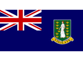 DE SHAW INTERNATIONAL, Virgin Islands, British