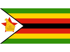DISCOUNT COMPANY OF ZIMBABWE, THE, Zimbabwe